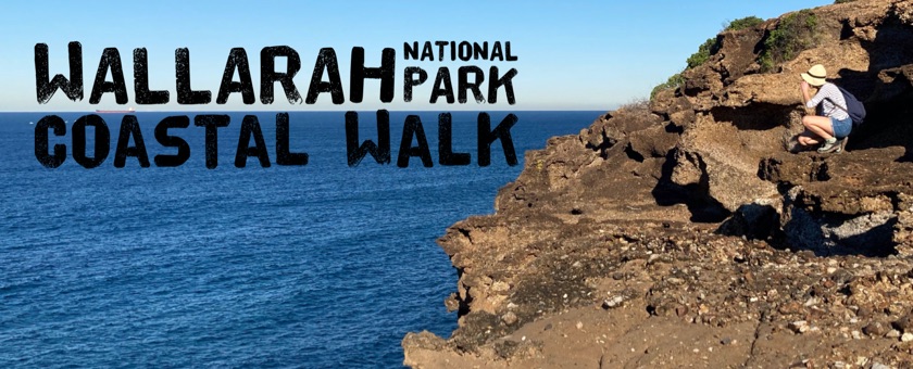 wallarah coastal walk